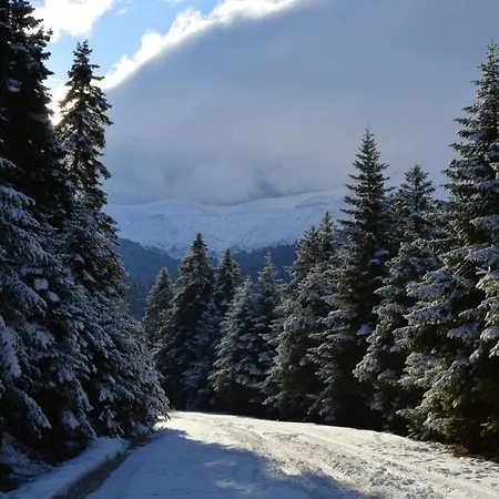 Oreades Elati (Trikala)