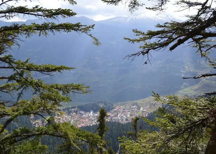 Hotel Dryades Eláti